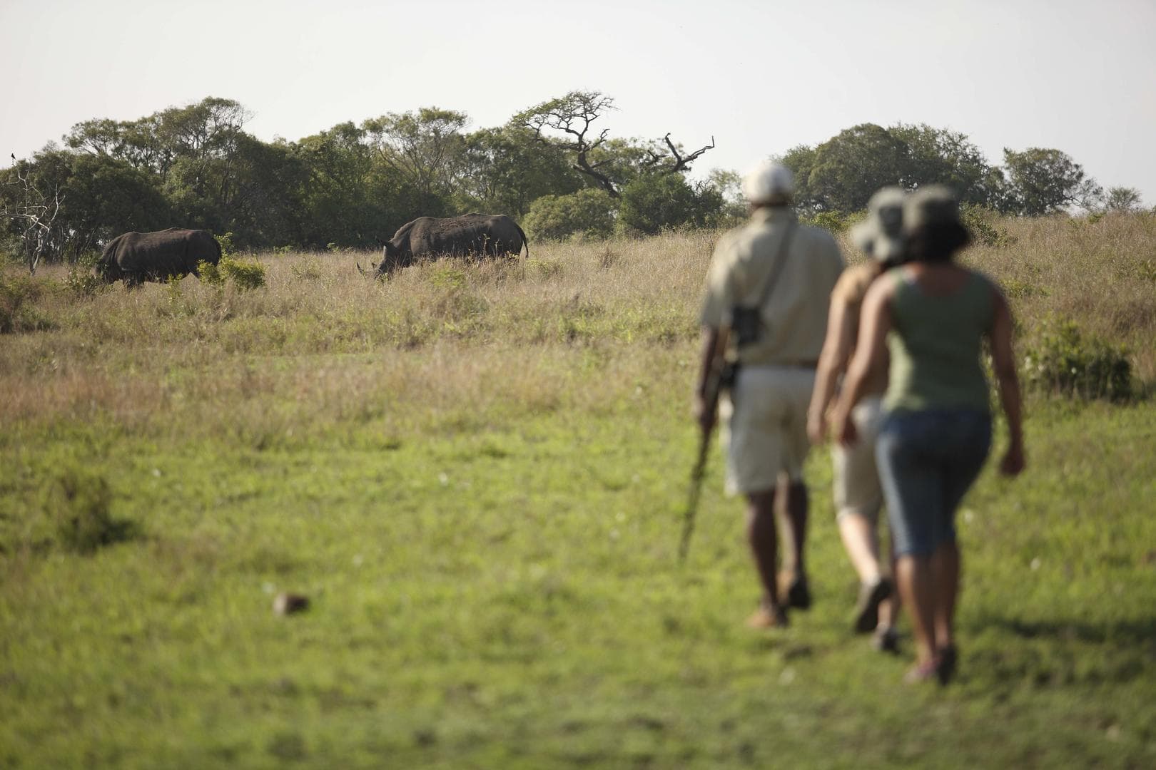 andBeyond Phinda Mountain Lodge Kwazulu natal phinda game reserve 41