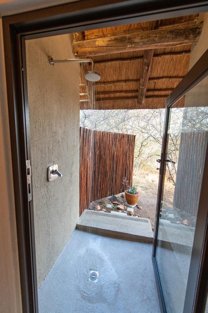 susage tree safari camp balule kruger sabi sands lodges reservations (18)