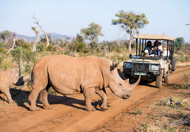 RHINO ND GAME VEHICLE