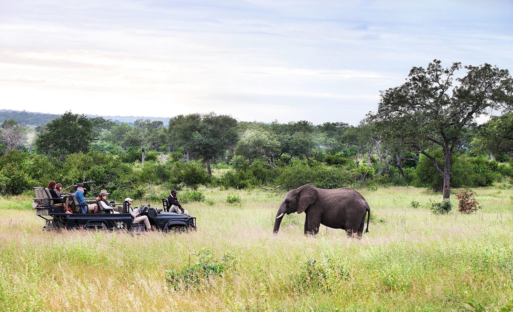 On safari at Londolozi