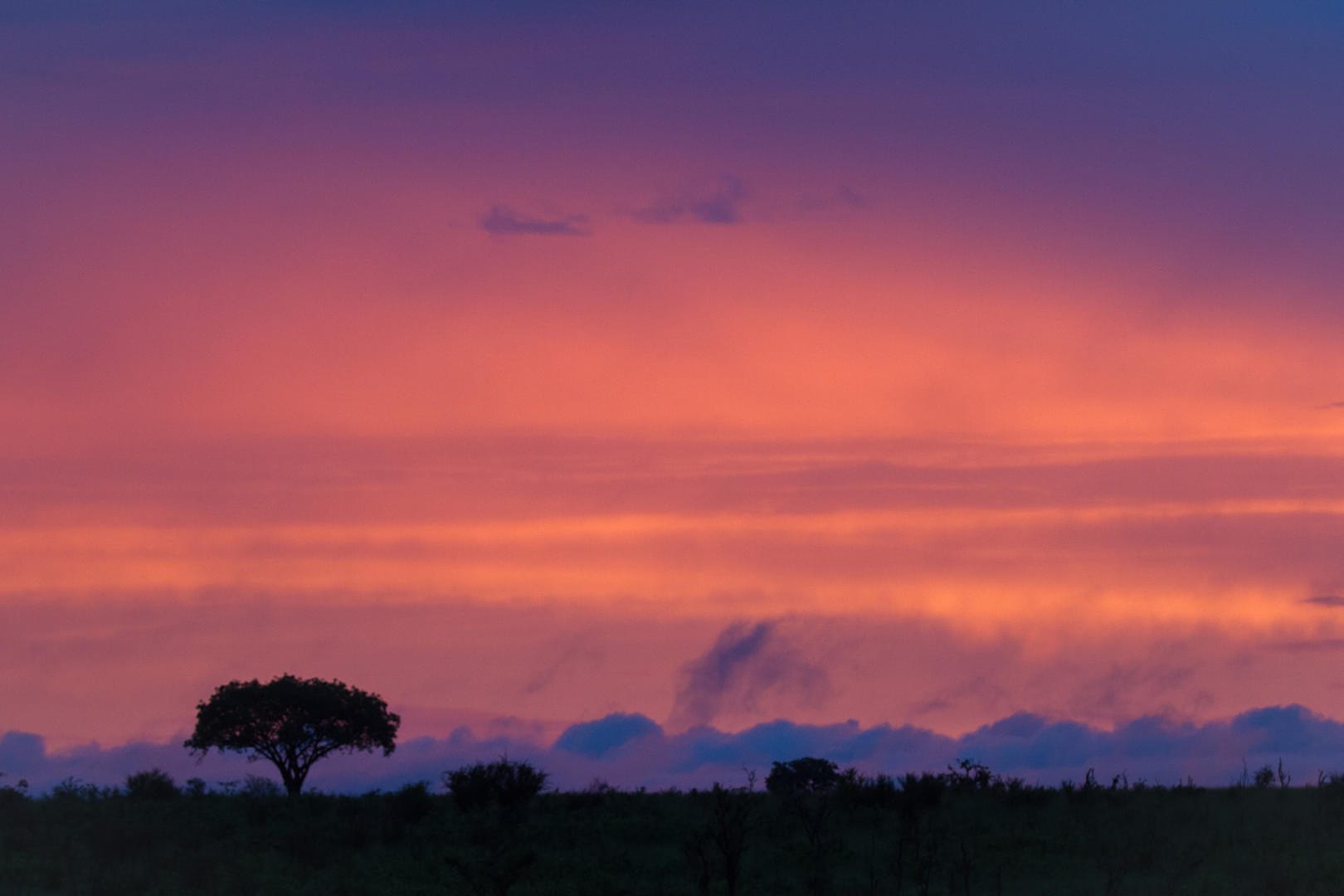 Summer sunsets