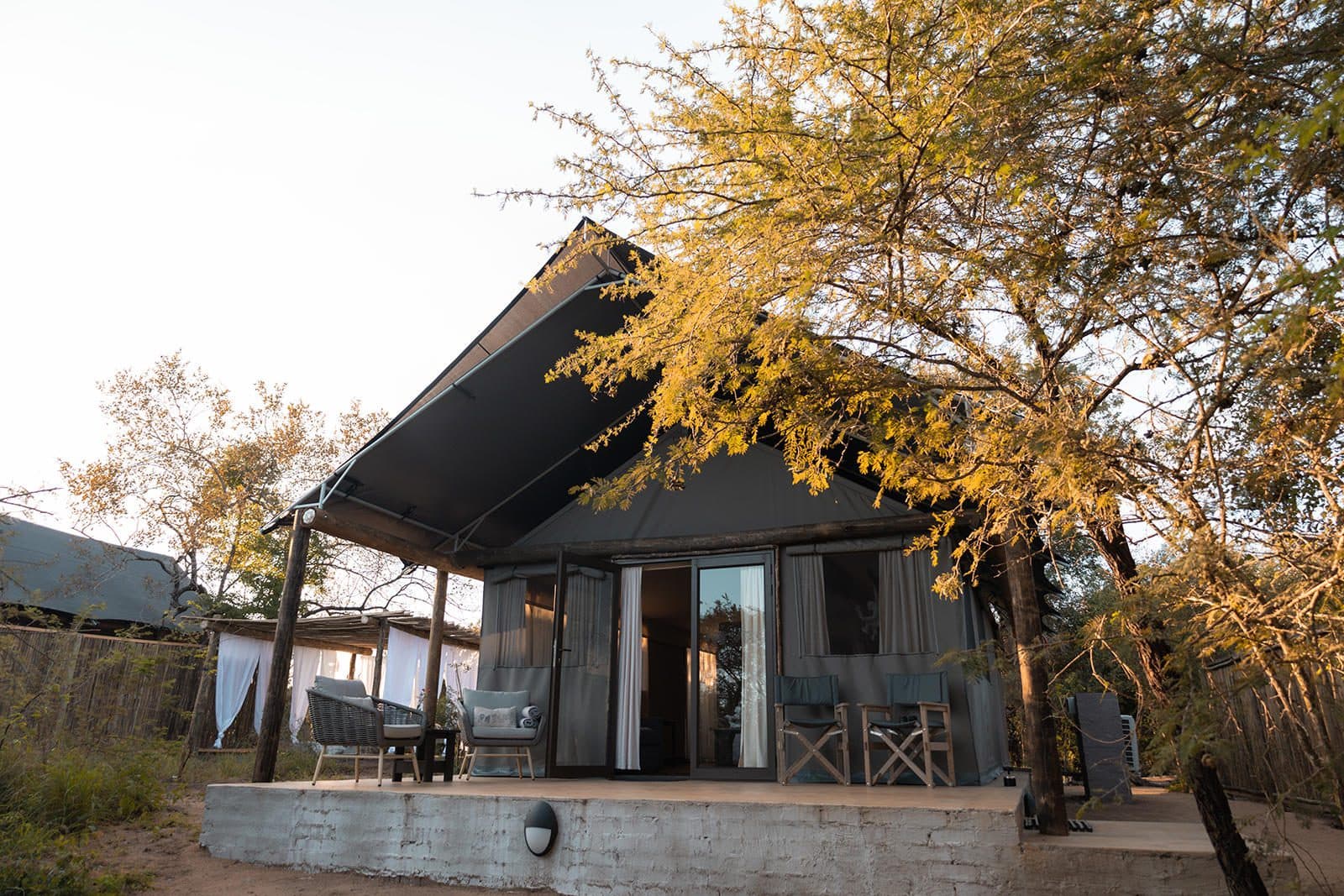 stars of africa umkumbe bush lodge monkeythorn