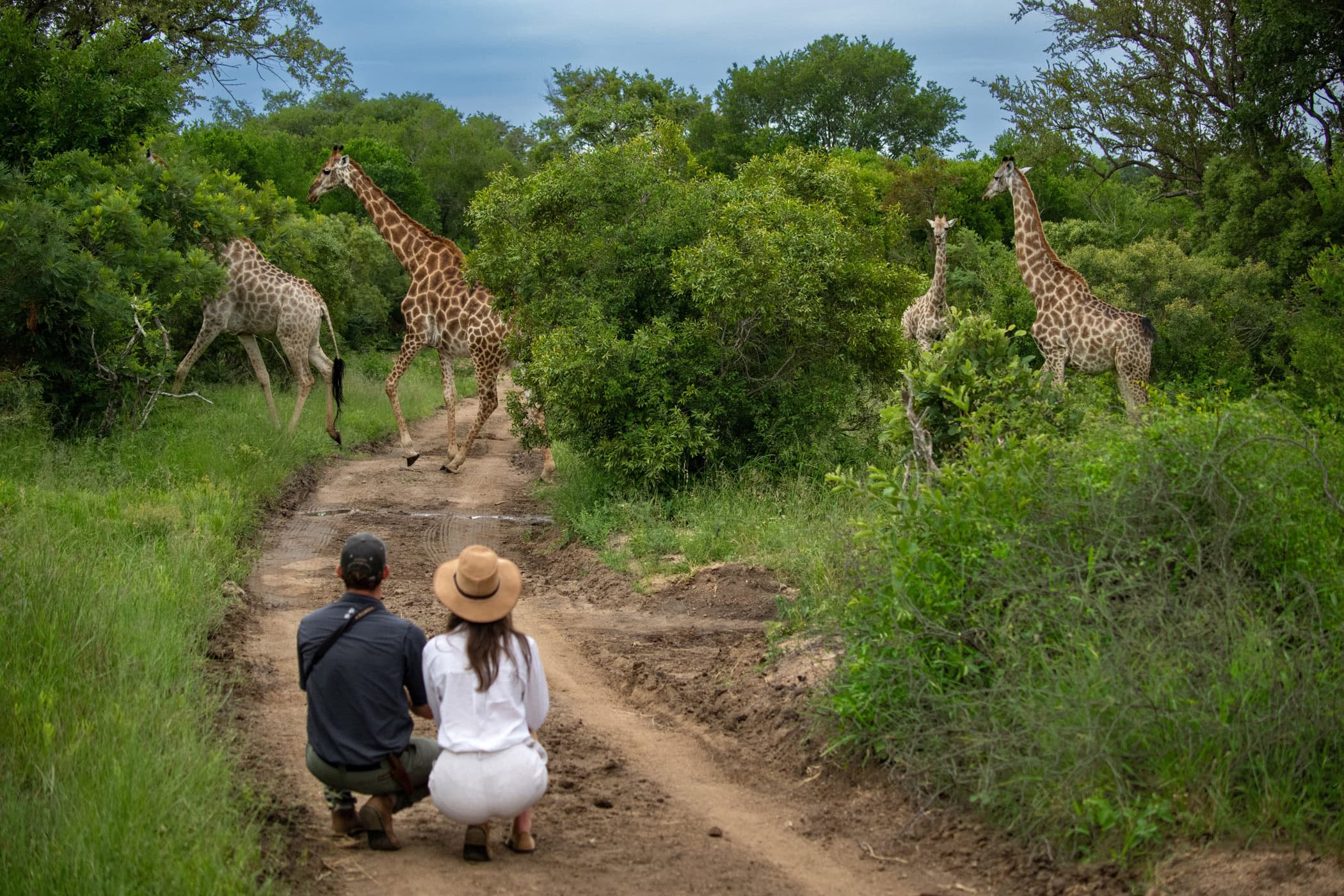 Ulusaba New Images ()