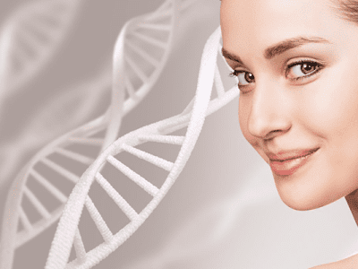 Somon DNA