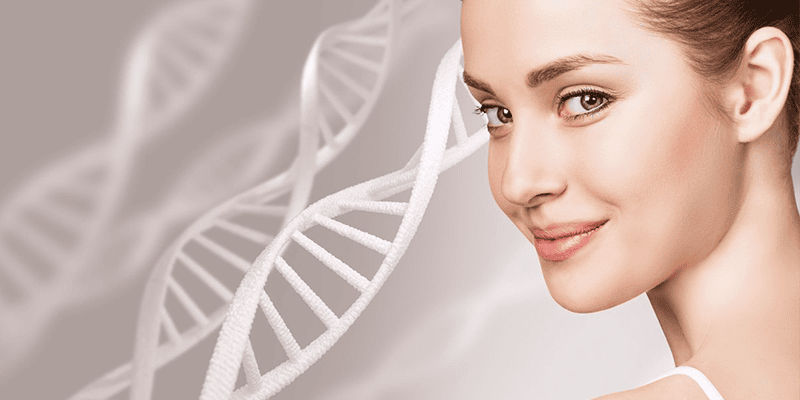 Somon DNA