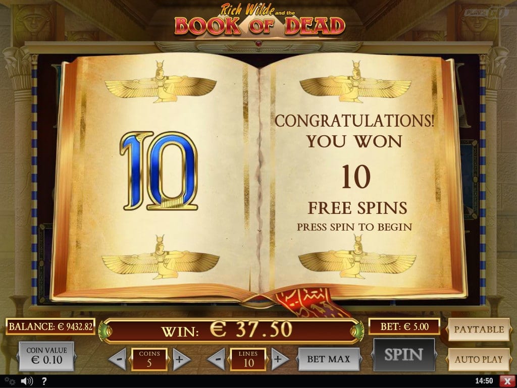 book of dead freespins screenshot video slot play'nGo