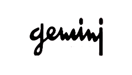 gemini - guide sedili ortopedici