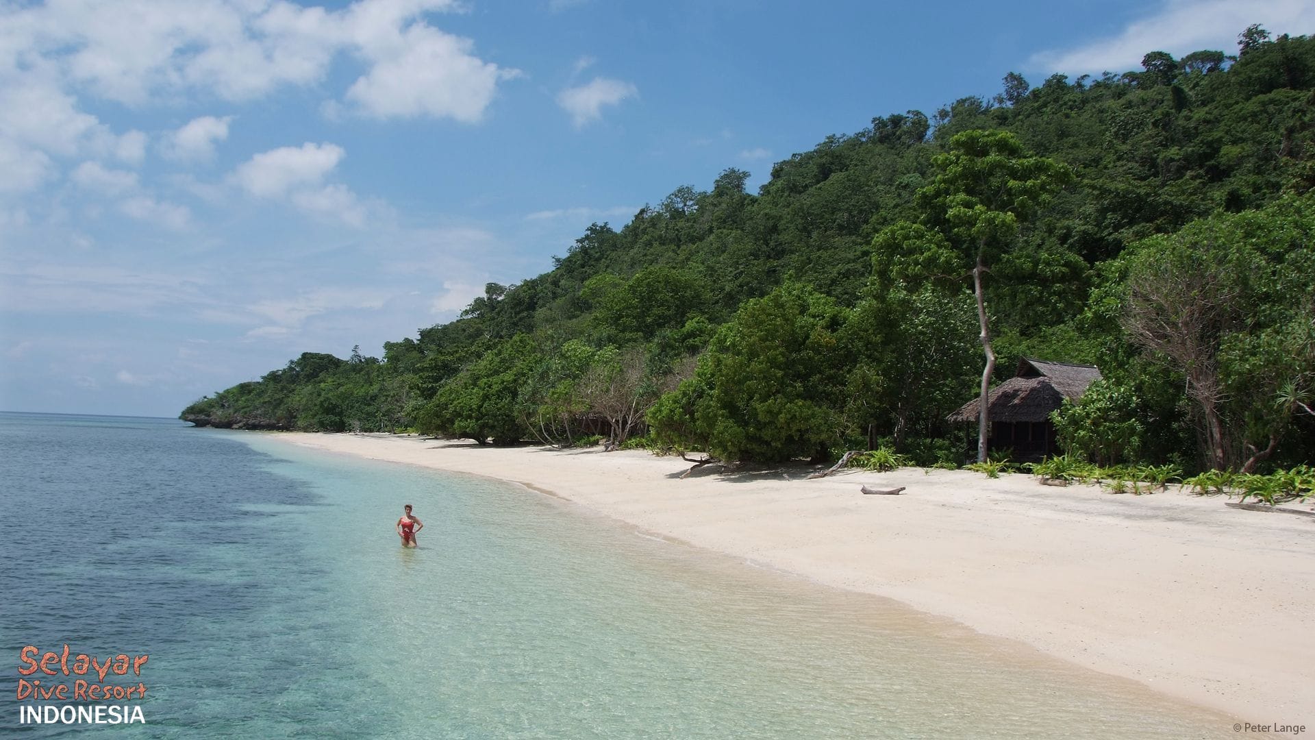 Beach Sulawesi Resort Indonesia