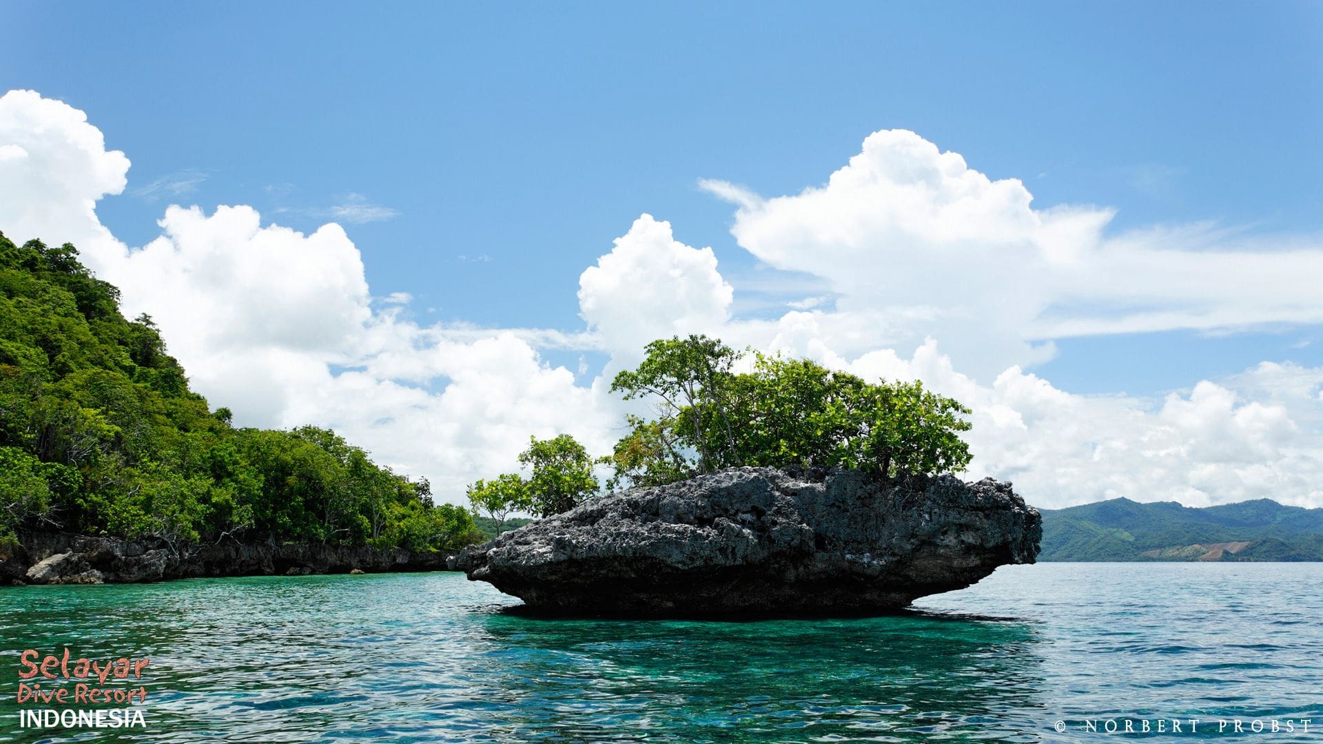 Best Dive Resort in Indonesia