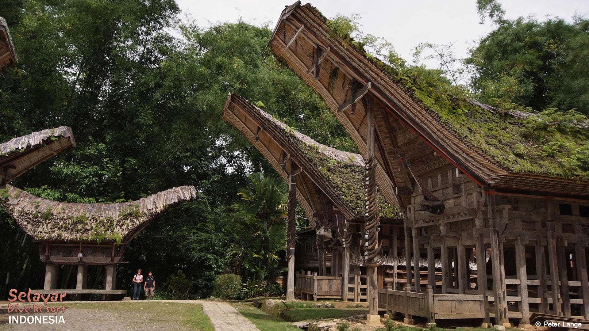 Tana Toraja House Indonesia