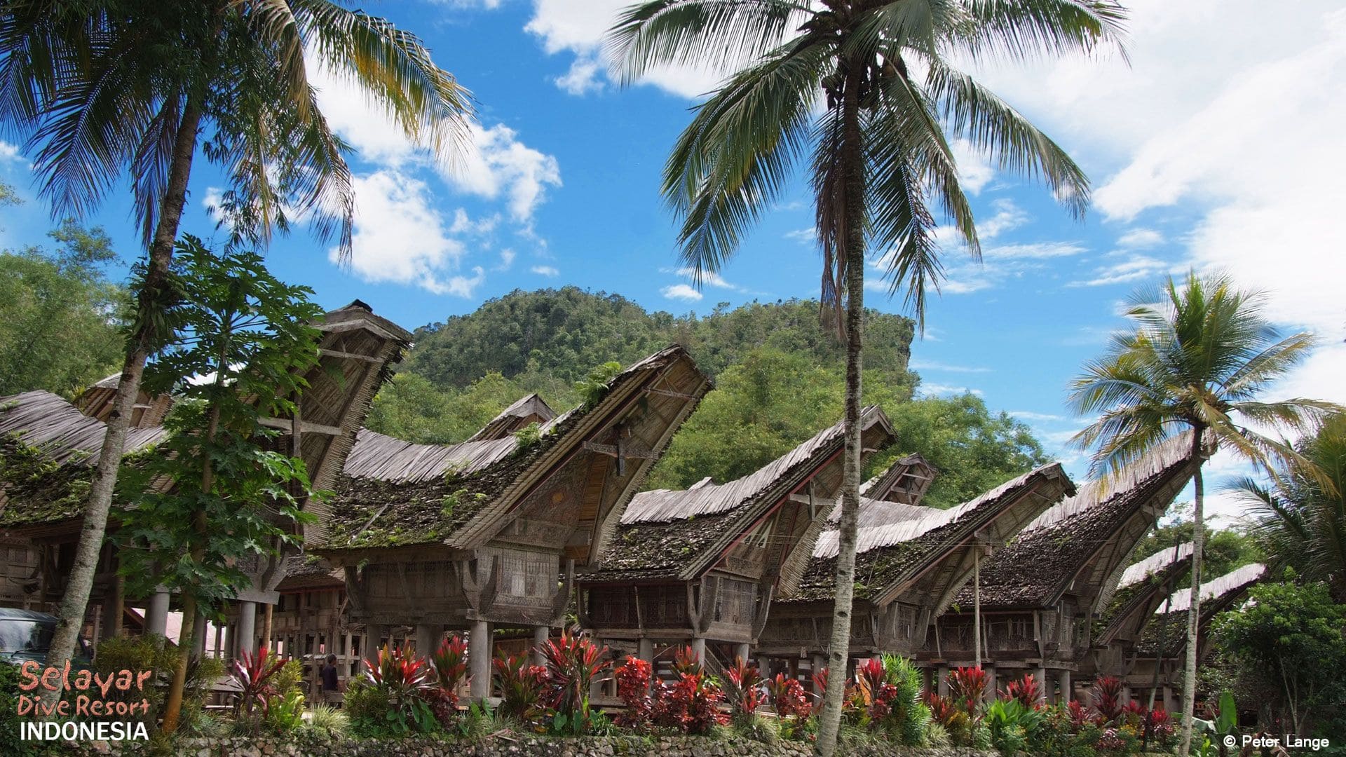 Tana Toraja House