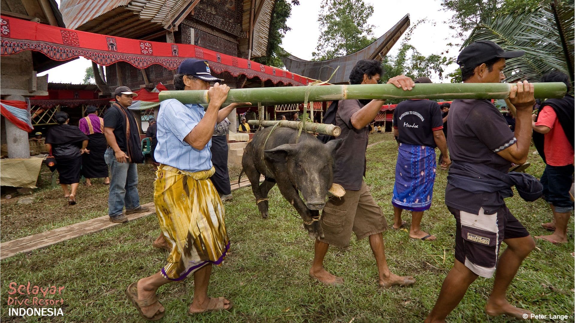 Tana Toraja Sulawesi Indonesia