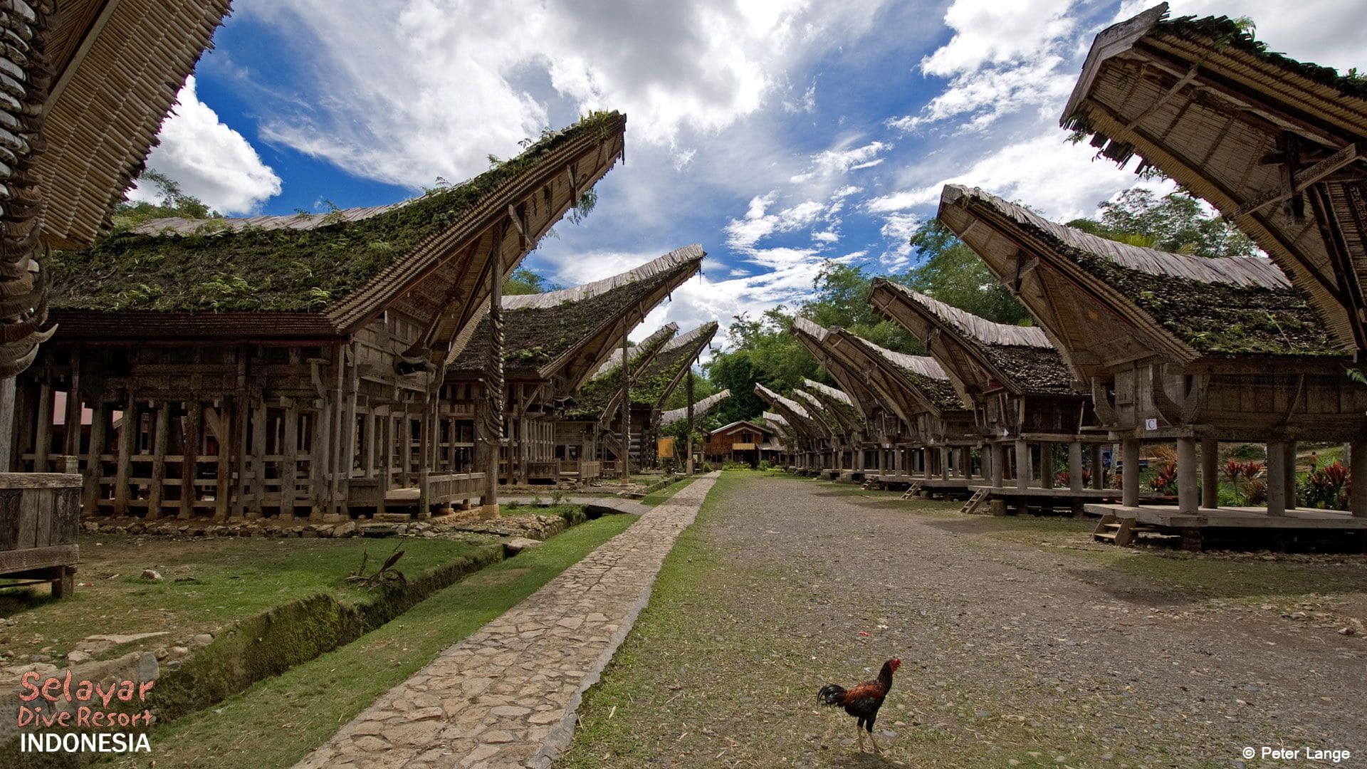 Tana Toraja Village south Sulawesi Indonesia