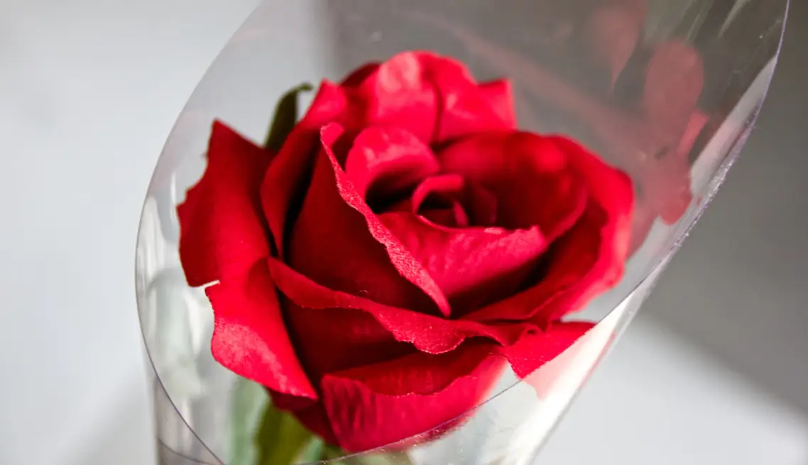 Florist Supplies – A Rose Cone Closeup