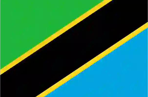 Shreeja Healthcare presence in Tanzania