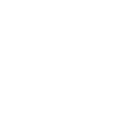 Bokeh Collective