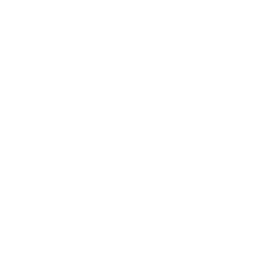 Vice