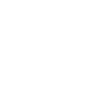 Vice