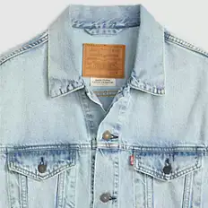 Levi's Thermodapt (13)
