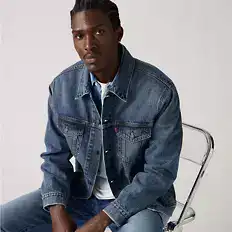Levi's Thermodapt (19)