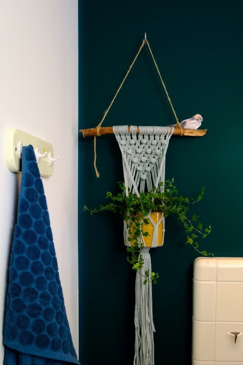 macramé hangplant
