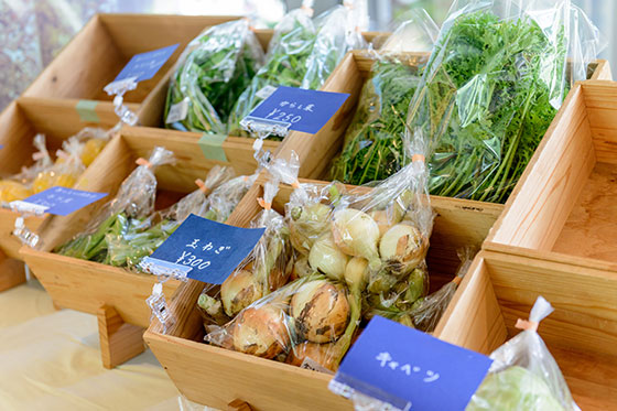野菜売り場のディスプレイ