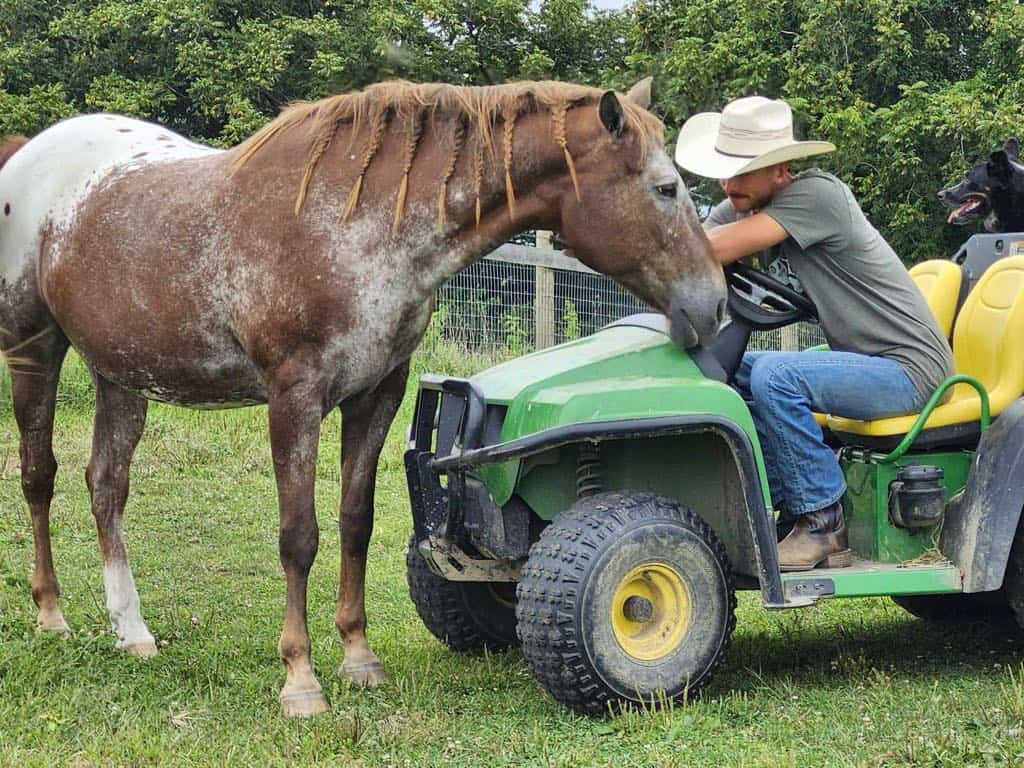 82f24563-c7b9-4165-be68-1c2b84be110b