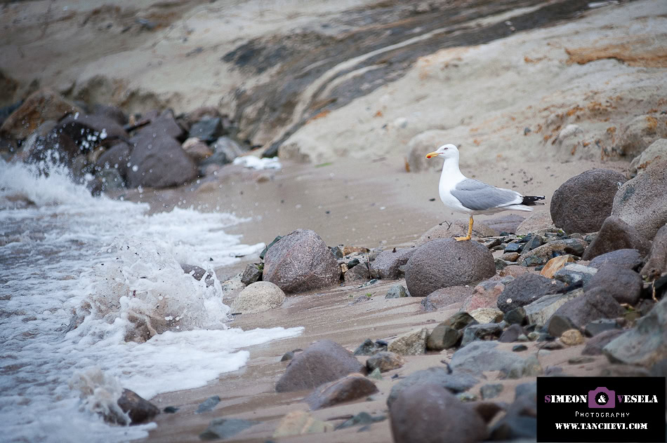 Сватбата на Юлия и Алекс - Сватбен фотограф и видеозаснемане на сватба в Бургас
