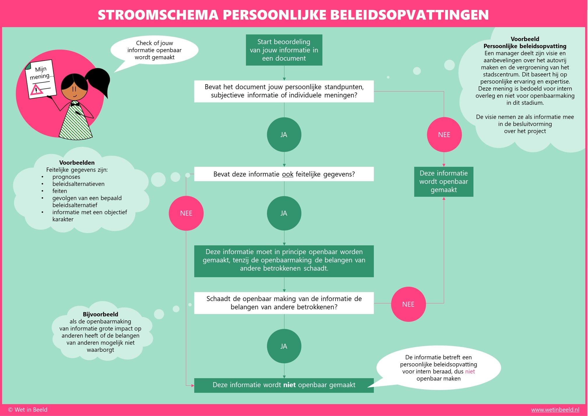 Persoonlijke beleidsopvattingen stroomschema Wet in beeld