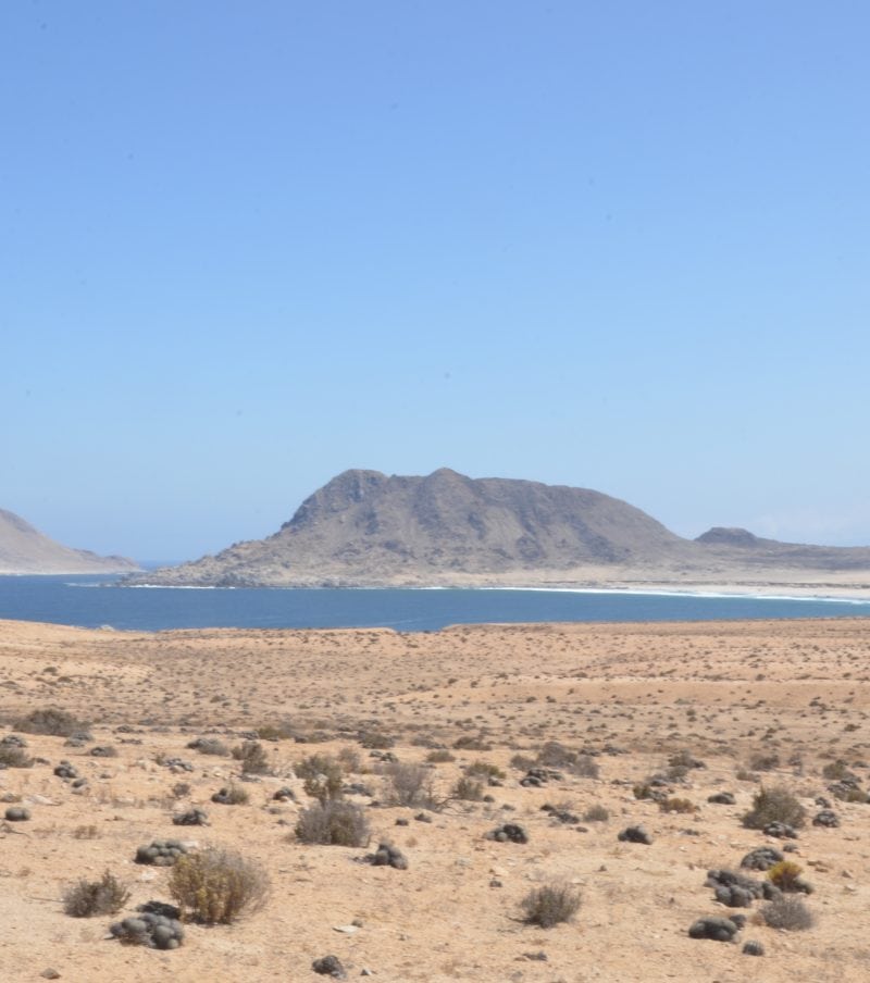 Costa Desierto de Atacama