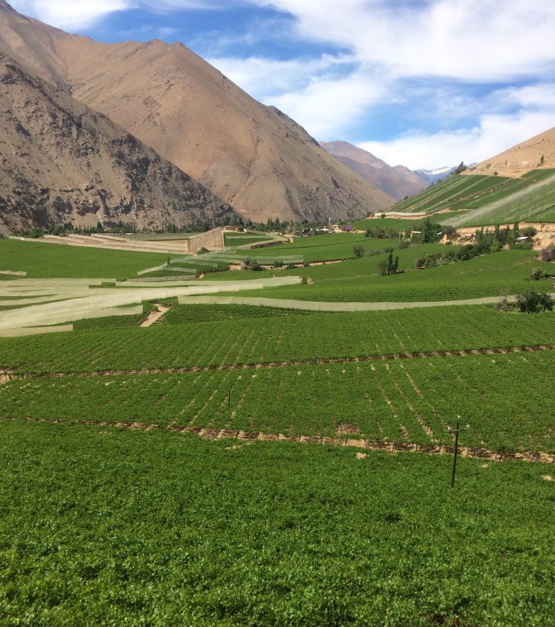 Tour Valle del Elqui