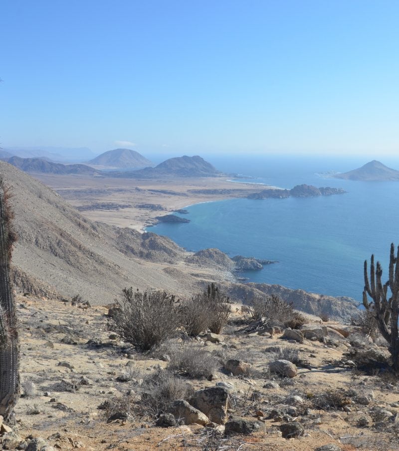 Costa Desierto de Atacama 4 días / 3 noches