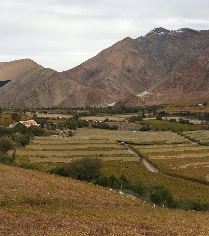 El Gran Valle del Elqui 3 días / 2 noches