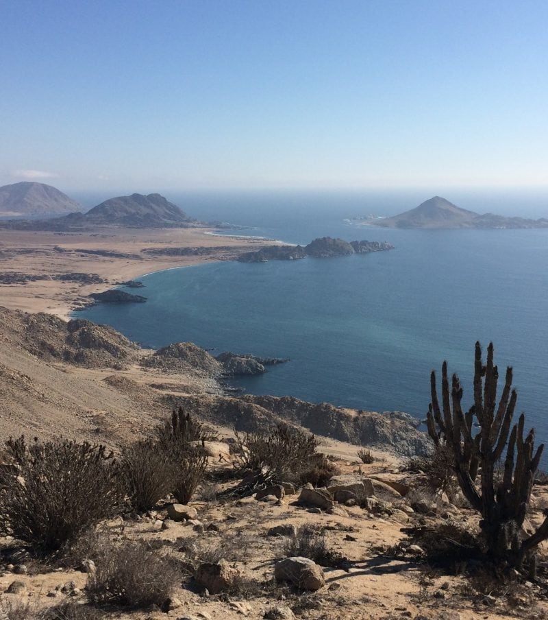 Coast of Atacama Desert