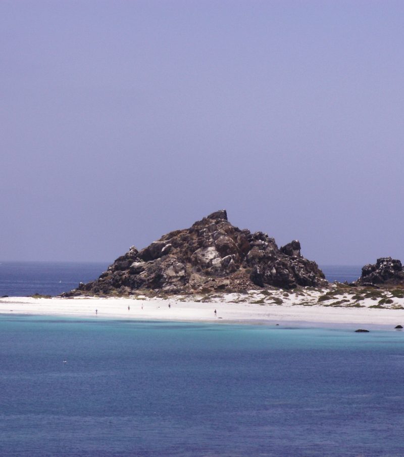 Damas Island & Cactus Penguin Humboldt Reserve