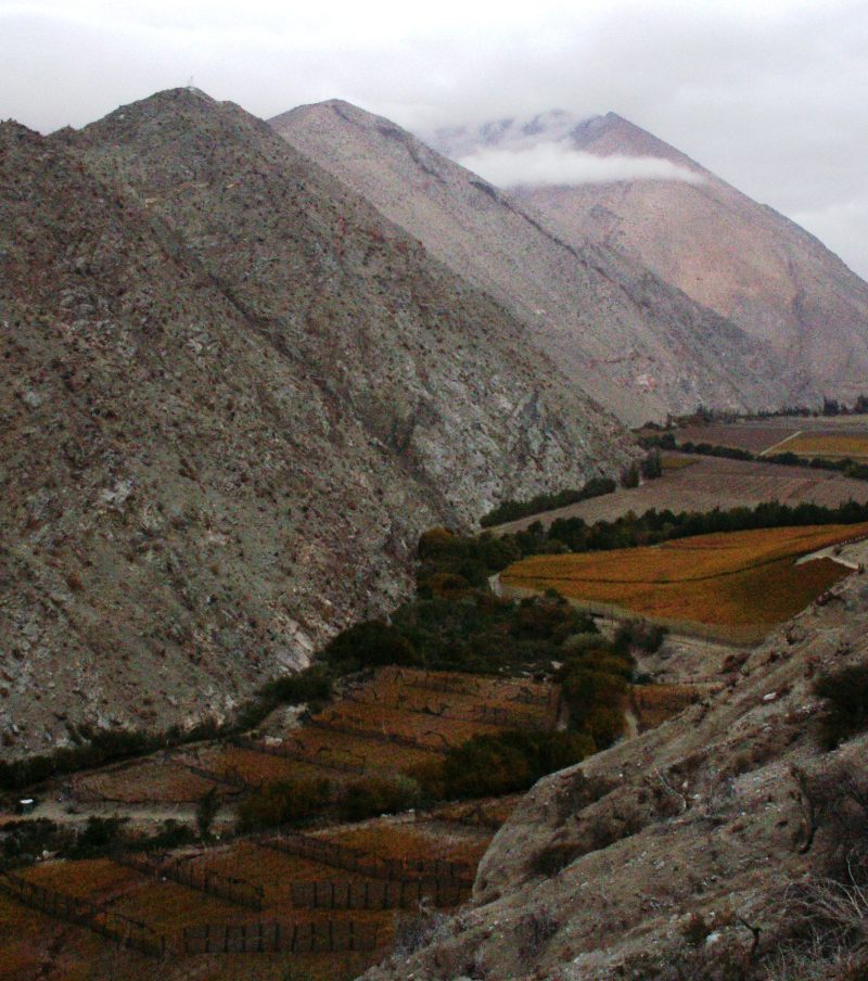 The Great Elqui Valley