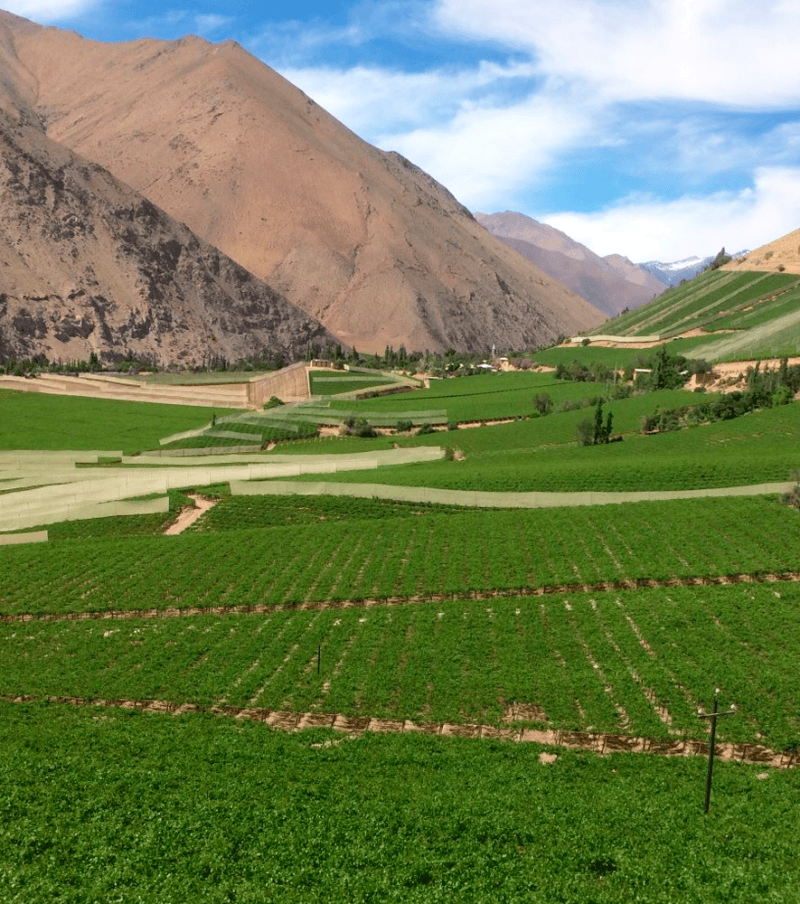 Grand - Tour Valle del Elqui