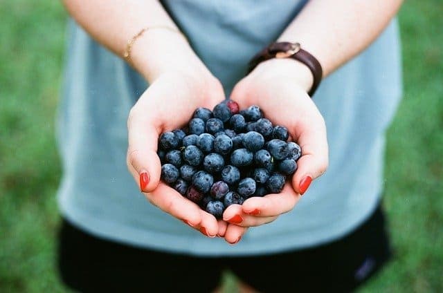 person holding fresh blueberries