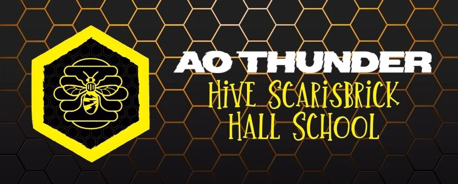 AO Thunder Hive Scarisbrick Hall School