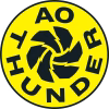 AO Thunder Netball