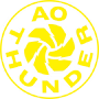 AO Thunder Netball