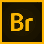 Adobe Bridge 2021 v11.0