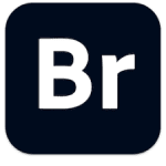 Adobe Bridge 2021 v11.1.1