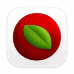 Lingon Pro 10.1.4