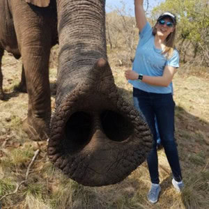 tours tickets south africa (34)
