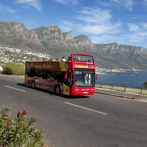 tours tickets south africa (37)