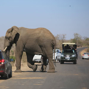 tours tickets south africa (51)