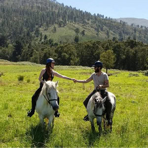 tours tickets south africa (63)