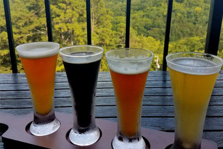 tasting flight of craft beers