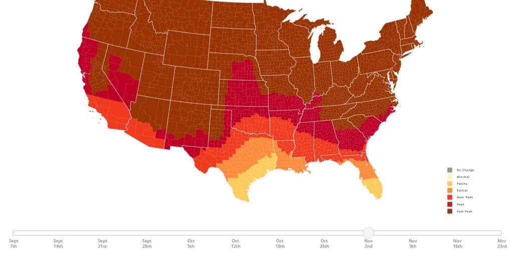 The image appears to be a map of the United States showing the fall foliage peak times across differ.